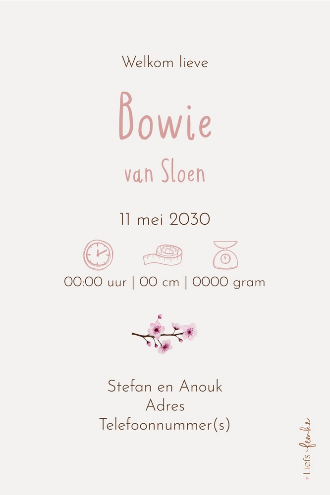 Geboortekaartje Bowie - kinderkamertje met wiegje, poster, pakje en raam met bloesemboom