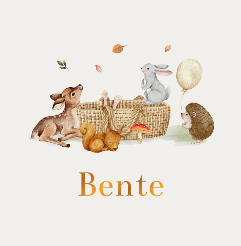 Geboortekaartje Bente - bosdieren rondom mandje met ballon