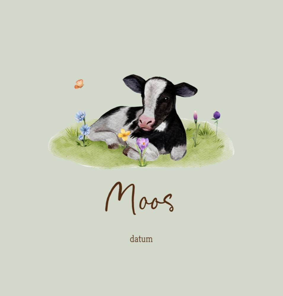 Geboortekaartje Moos - boerderij jongen kalfje liggend tussen het gras