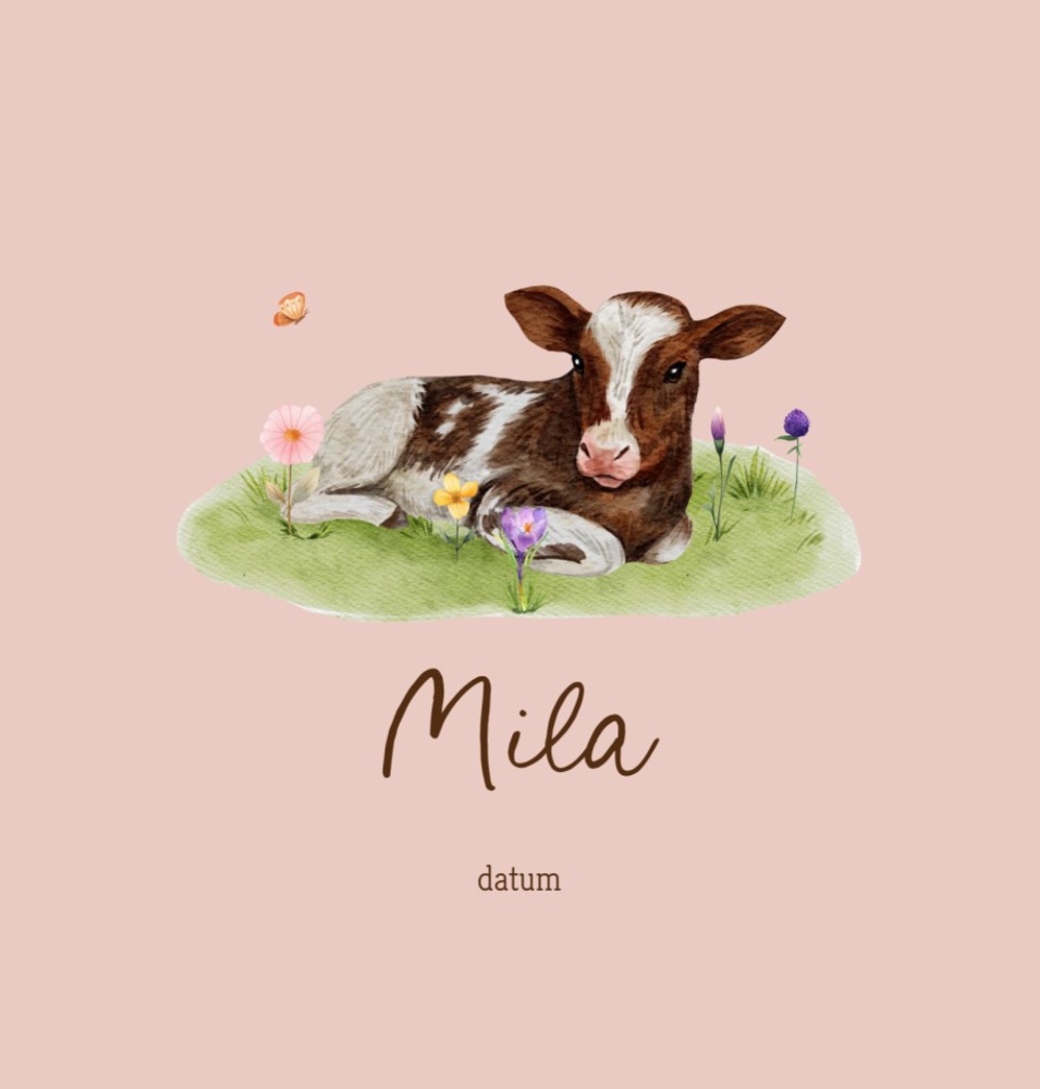 Geboortekaartje Mila - boerderij meisje kalfje liggend tussen het gras