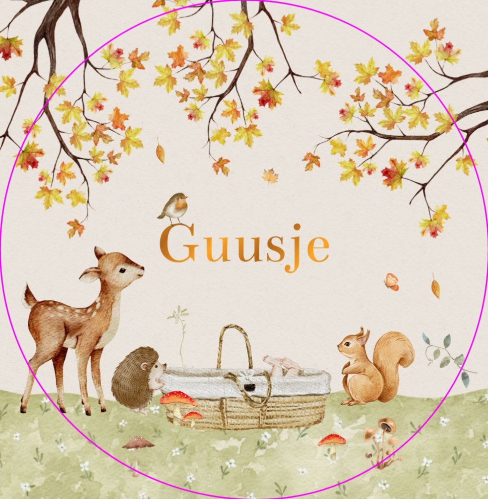 Geboortekaartje Guusje - herfstbos met nieuwsgierige bosdieren