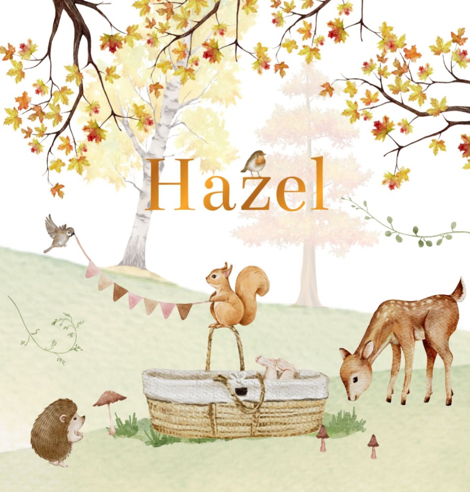 Geboortekaartje Hazel - herfst rotan mandje in bos met nieuwsgierige bosdieren