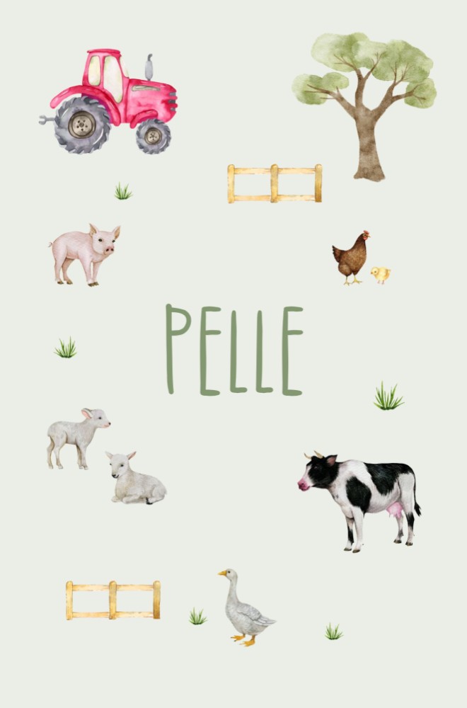 Geboortekaartje Pelle - jongen boerderijdieren kader