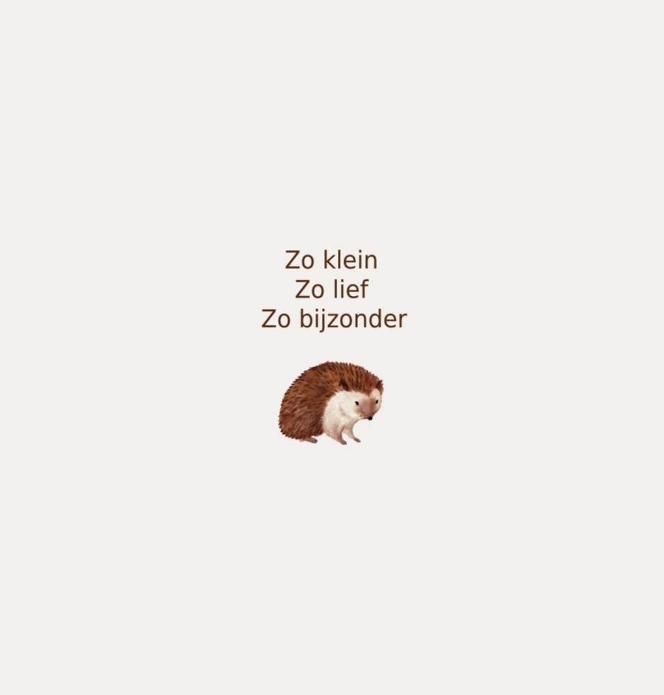 kaart binnenzijde links