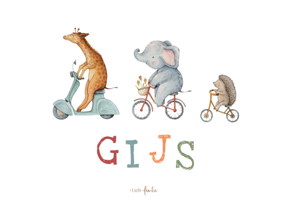 Geboortekaartje Gijs - jongen met diertjes (giraffe, olifant en egel) op voertuigen