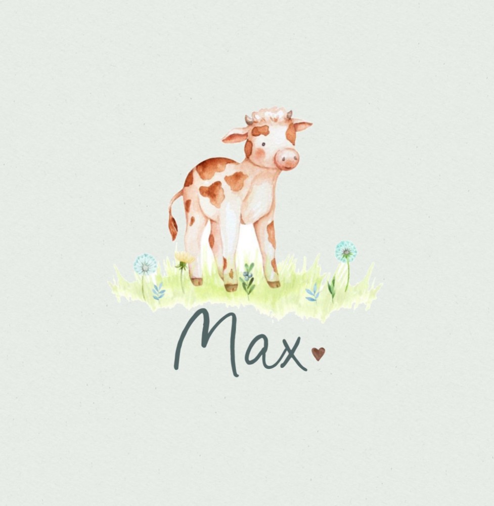 Geboortekaartje Max - jongen kalfje tussen paardenbloemen