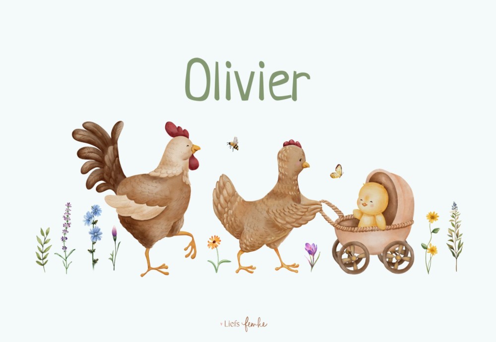 Geboortekaartje Olivier - jongen kippengezin en kuikentje in kinderwagen