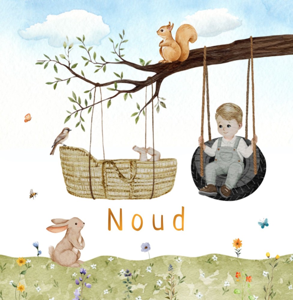 Geboortekaartje Noud - jongen lente mandje aan tak met broertje blonde haren