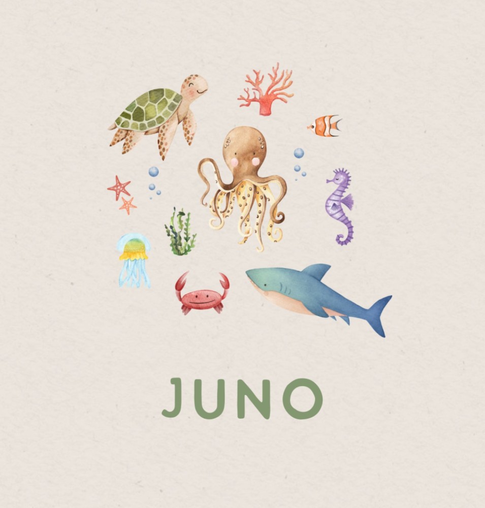 Geboortekaartje Juno - jongen oceaandieren in cirkel