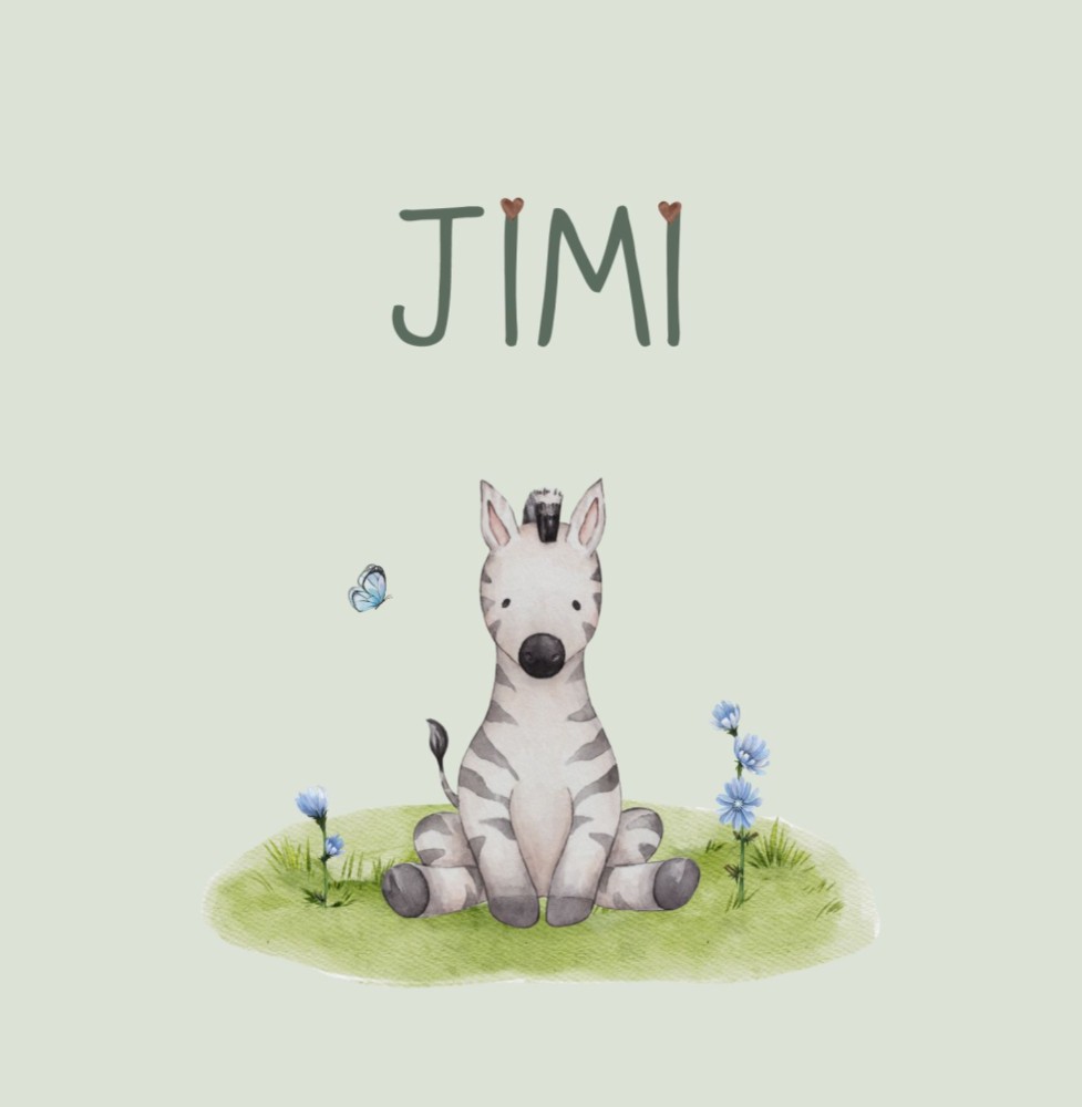 Geboortekaartje Jimi - jongen zittende zebra
