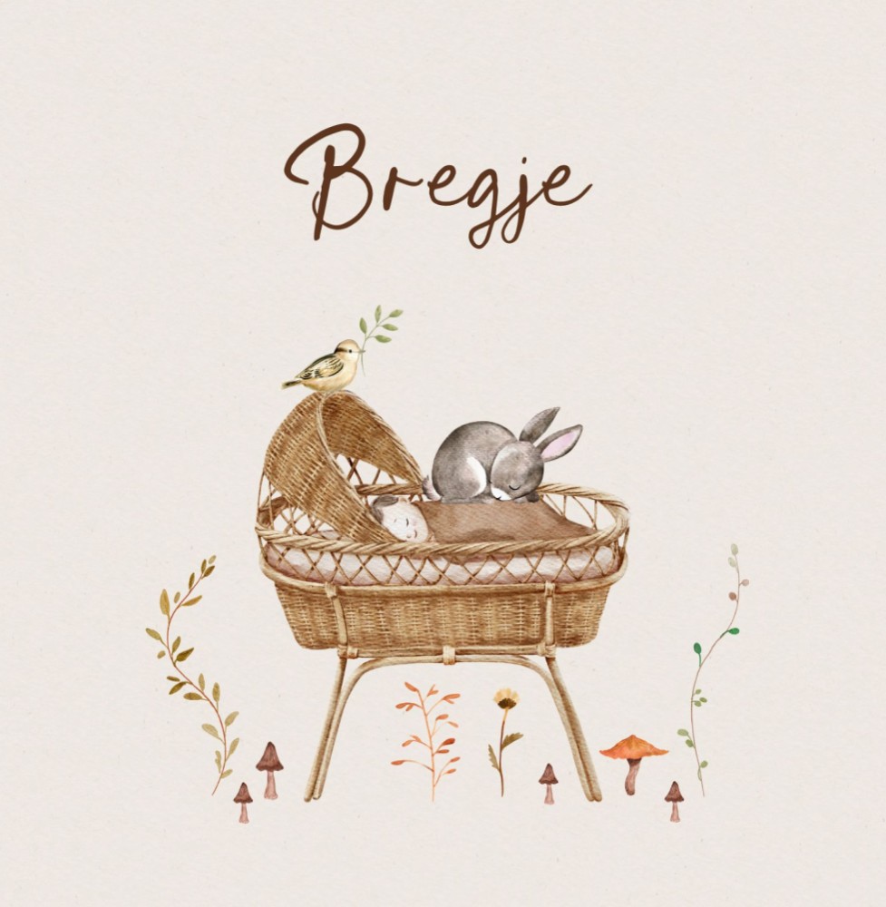 Geboortekaartje Bregje - herfst rotan wiegje met liggend konijntje