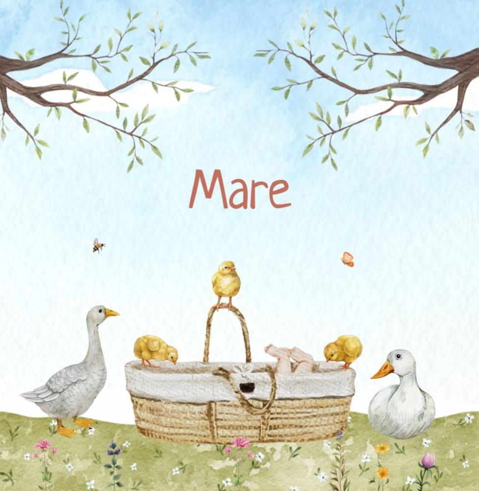 Geboortekaartje Mare - lente meisje met eenden en kuikentjes