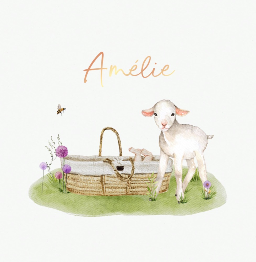 Geboortekaartje Amélie - meisje lente met lammetje