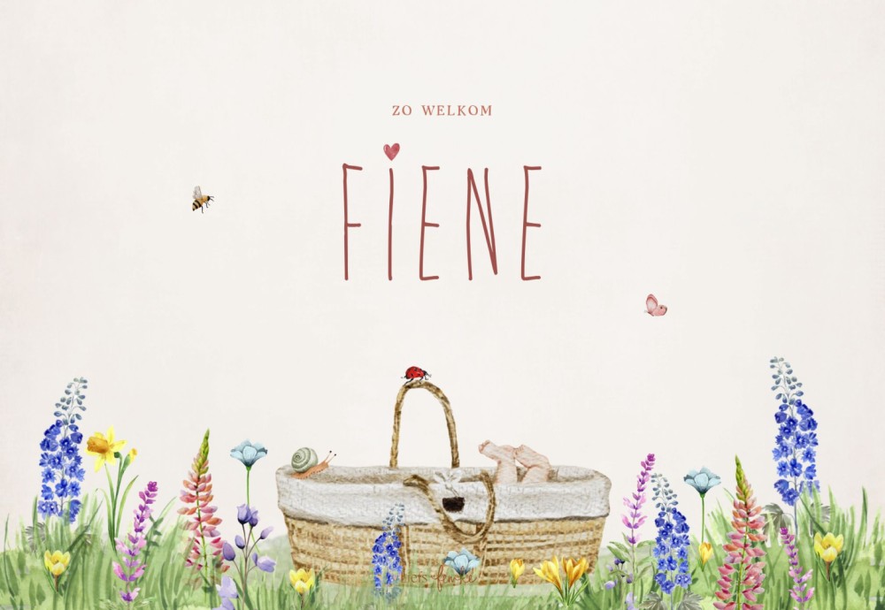 Geboortekaartje Fiene - meisje lente mozesmandje in bloemenveldje met bloemen