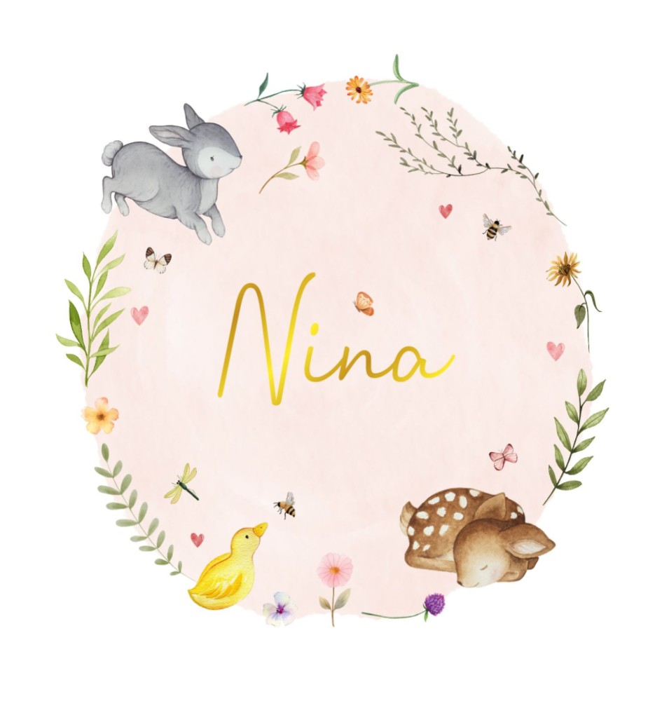 Geboortekaartje Nina - meisje lentedieren cirkel