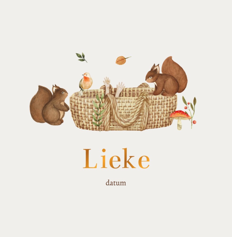 Geboortekaartje Lieke - rotan mandje en nieuwsgierige eekhoorntjes