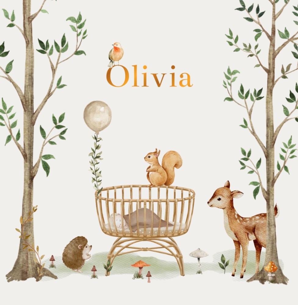 Geboortekaartje Olivia - nieuwsgierige bosdieren in het bos
