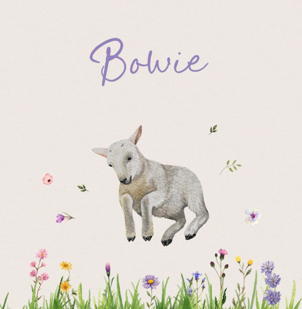 Geboortekaartje Bowie - meisje springend lammetje tussen (veld)bloemen