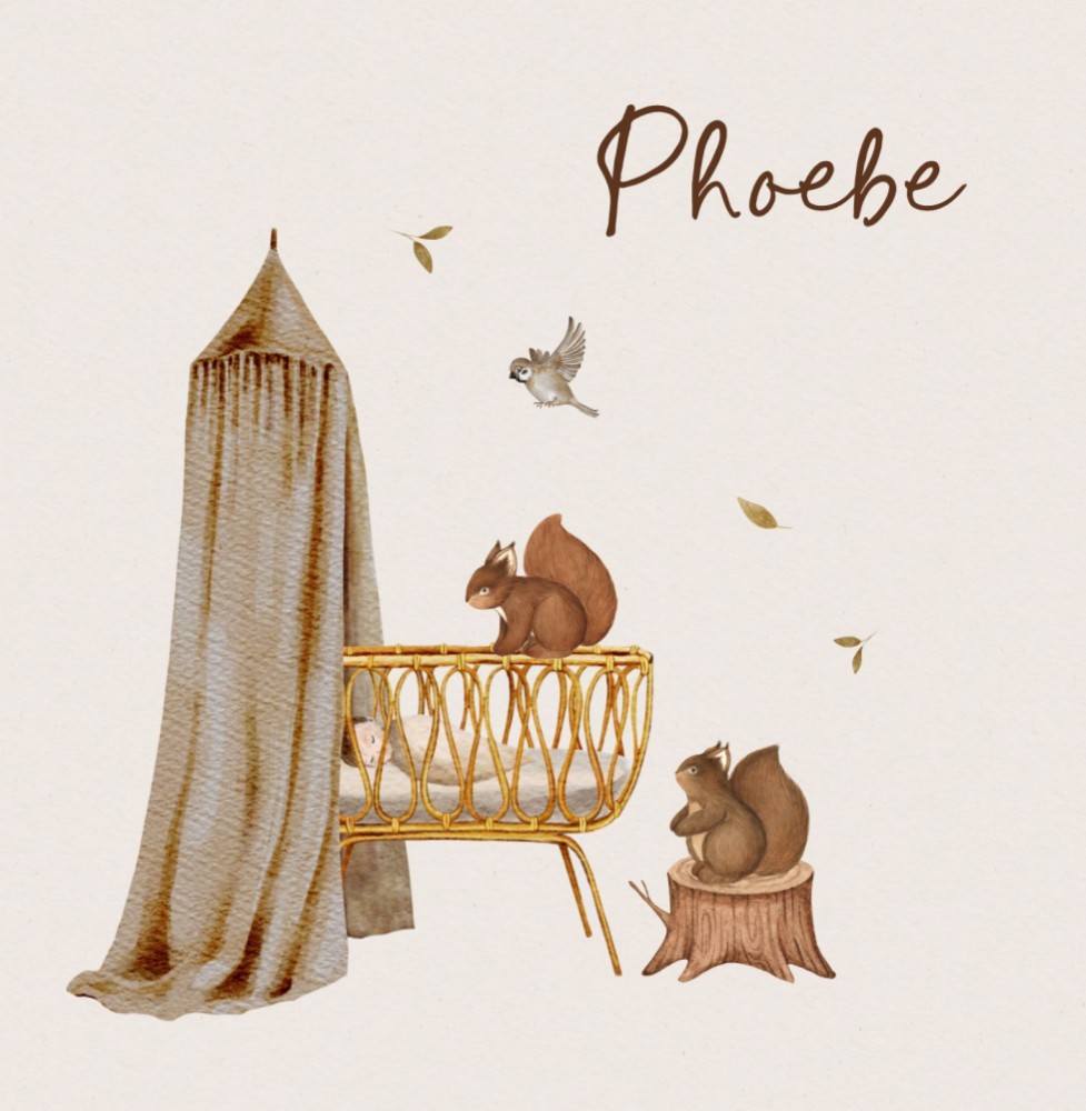 Geboortekaartje Phoebe - met wiegje met beige hemeltje en eekhoorntjes