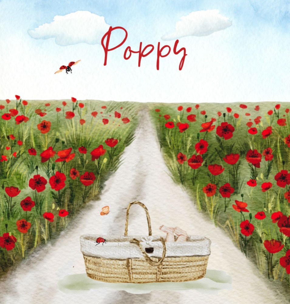Geboortekaartje Poppy - rotan mandje tussen klaprozen klaprozenveld