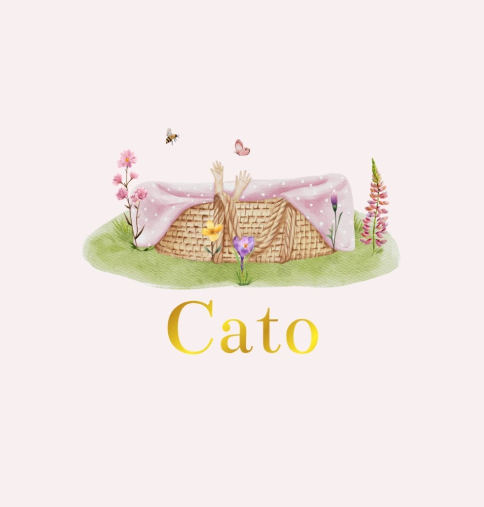 Geboortekaartje Cato - lente of zomer geboortekaartje meisje met baby in mozesmandje