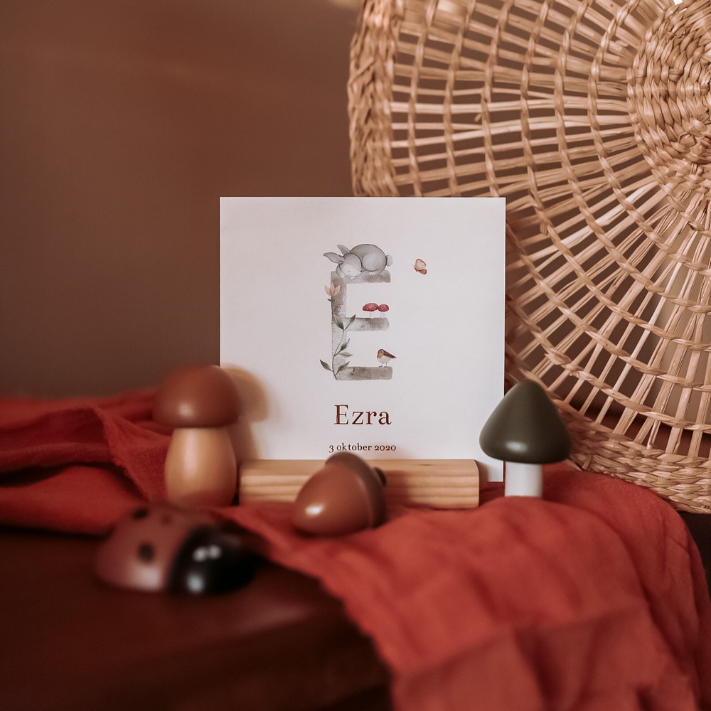 Ezra - geboortekaartje meisje met letter en herfst elementjes