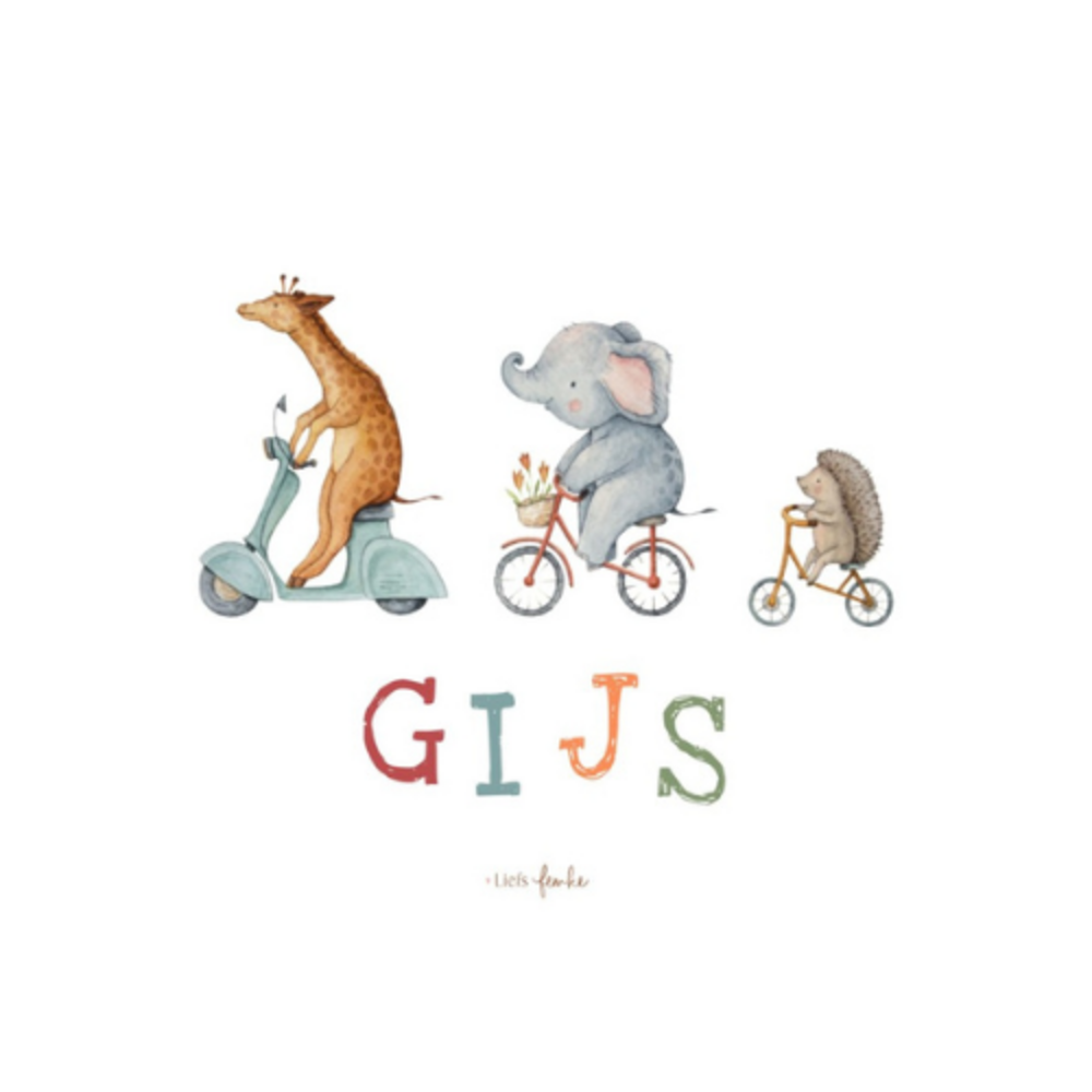 Geboortekaartje Gijs - jongen met diertjes (giraffe, olifant en egel) op voertuigen
