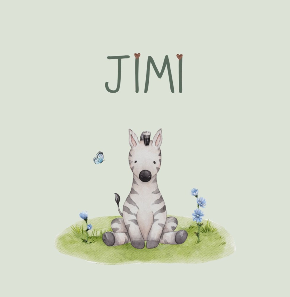 Geboortekaartje Jimi - jongen zittende zebra