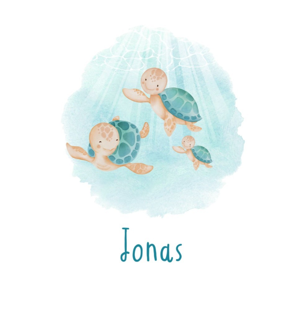 Geboortekaartje Jonas - jongen met schildpaddengezin