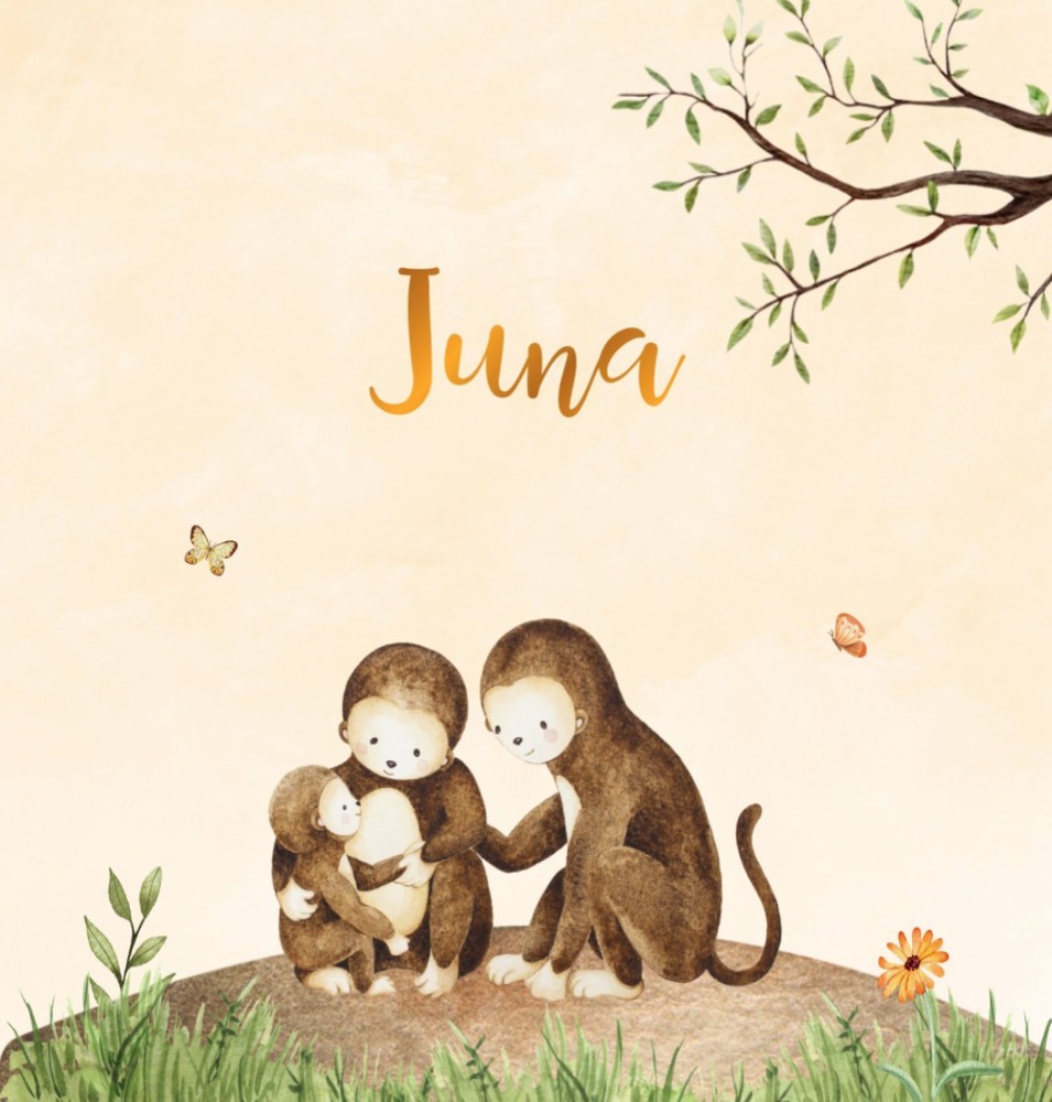 Geboortekaartje Juna - apengezin zusje
