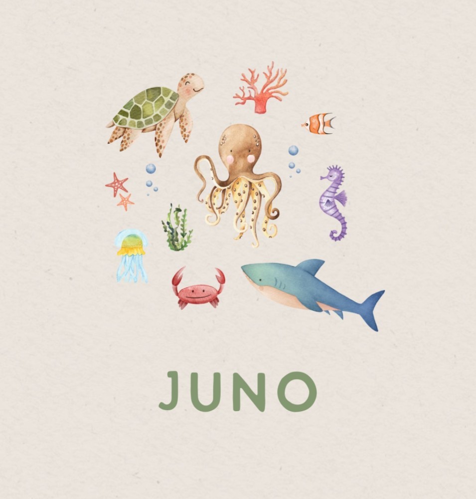 Geboortekaartje Juno - jongen oceaandieren in cirkel