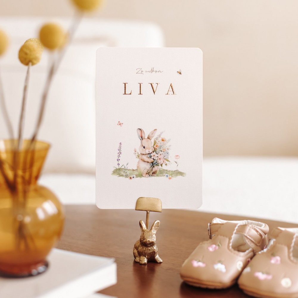 Geboortekaartje Liva - meisje met konijntje en veldboeket