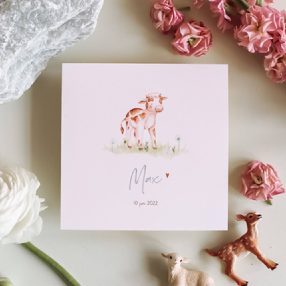 Geboortekaartje Max - jongen kalfje tussen paardenbloemen