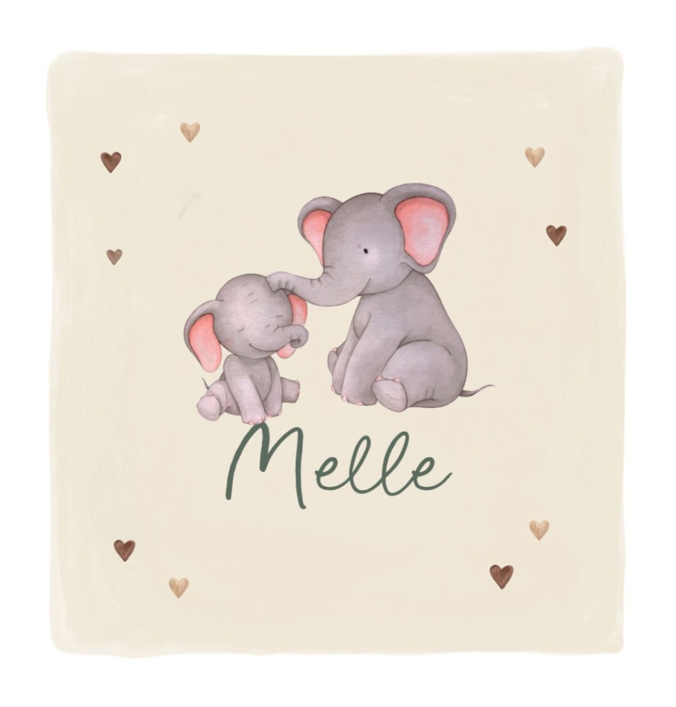 Geboortekaartje Melle - broertje olifantjes