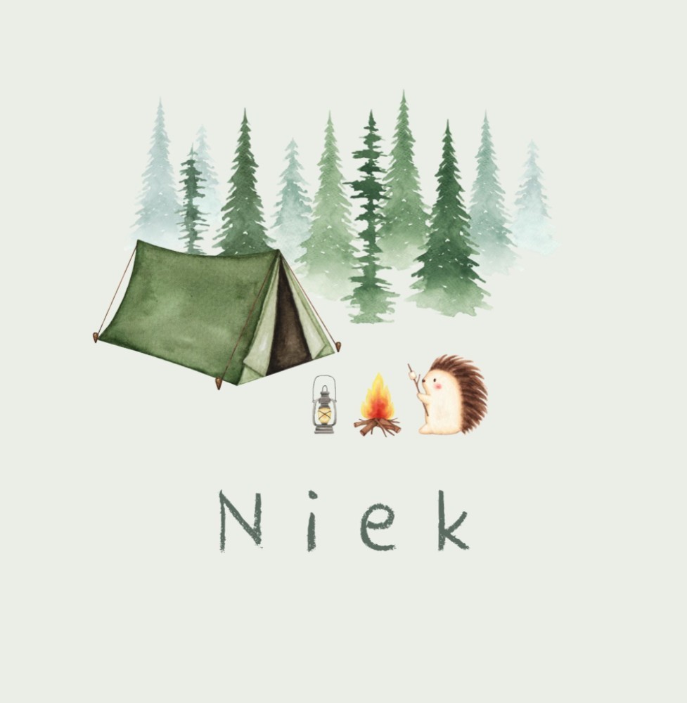 Geboortekaartje Niek - jongen egeltje bij tent en kampvuur