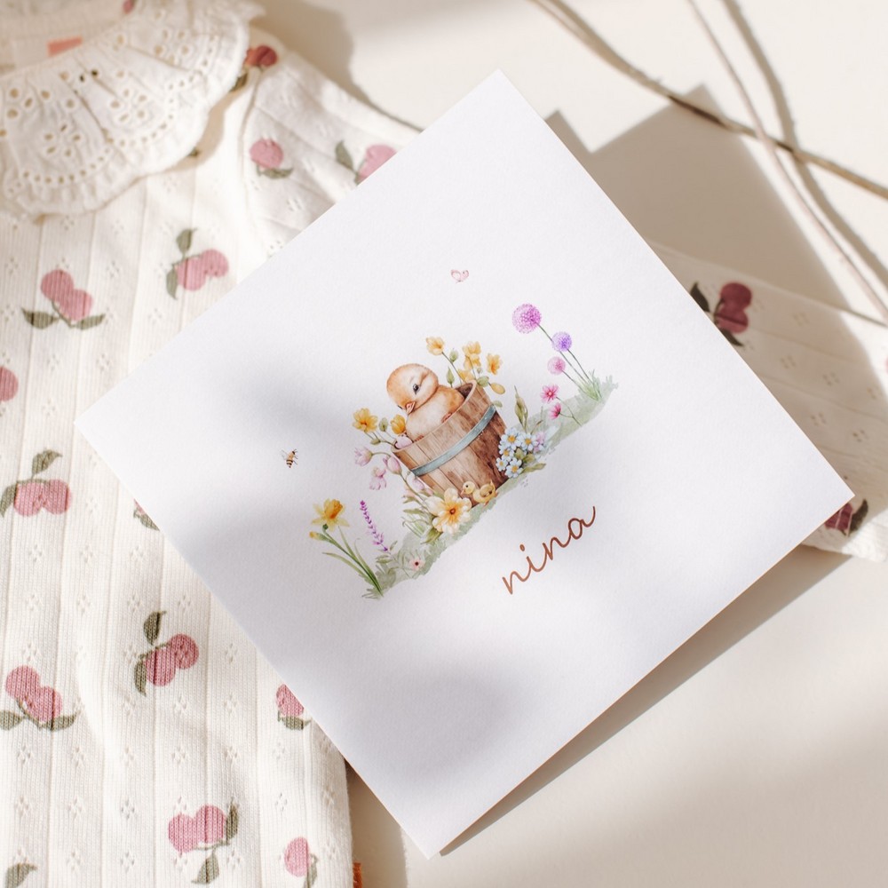 Geboortekaartje Nina - meisje lente met kuikentje