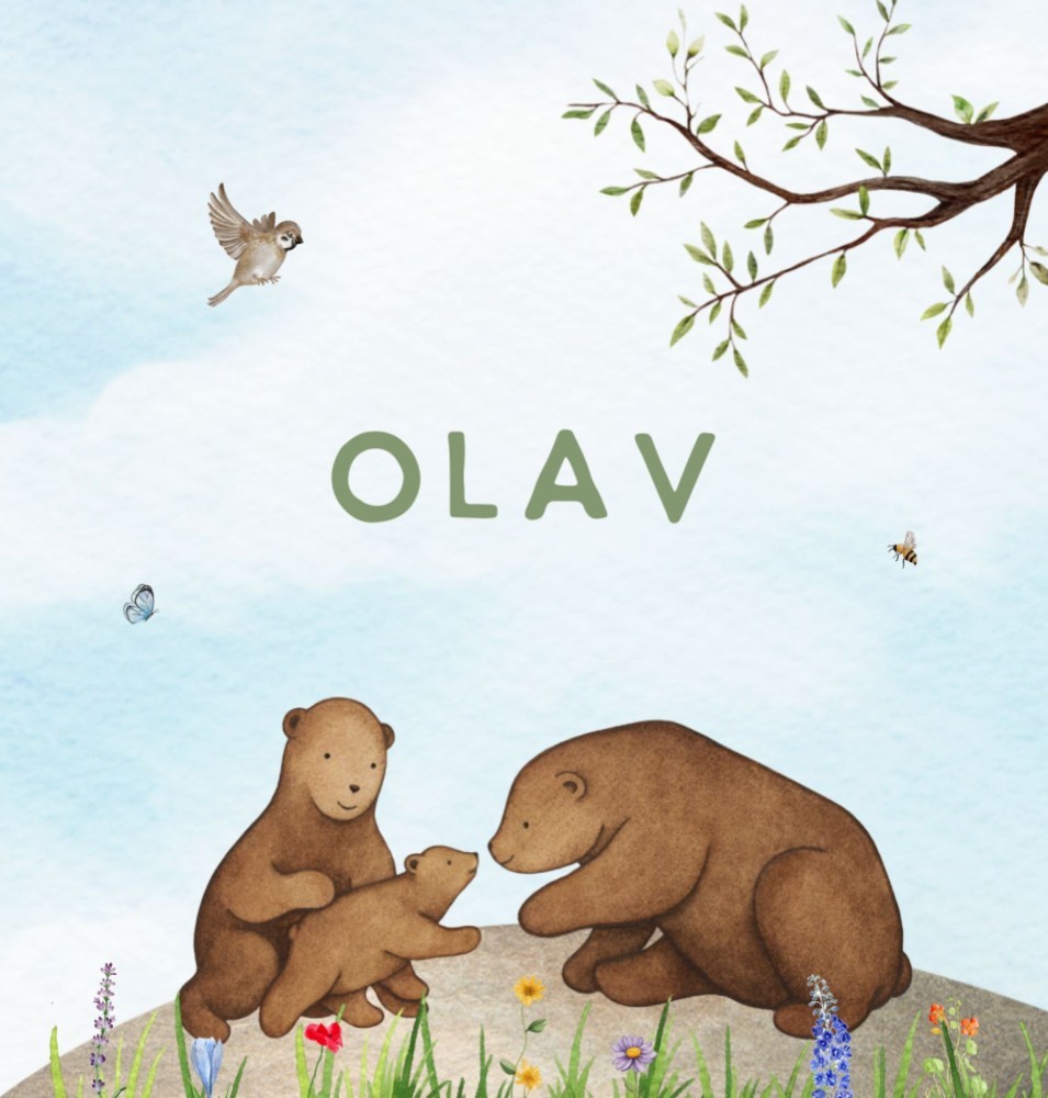 Geboortekaartje Olav - jongen berengezin