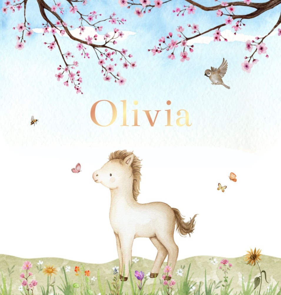 Geboortekaartje Olivia - meisje pony staand