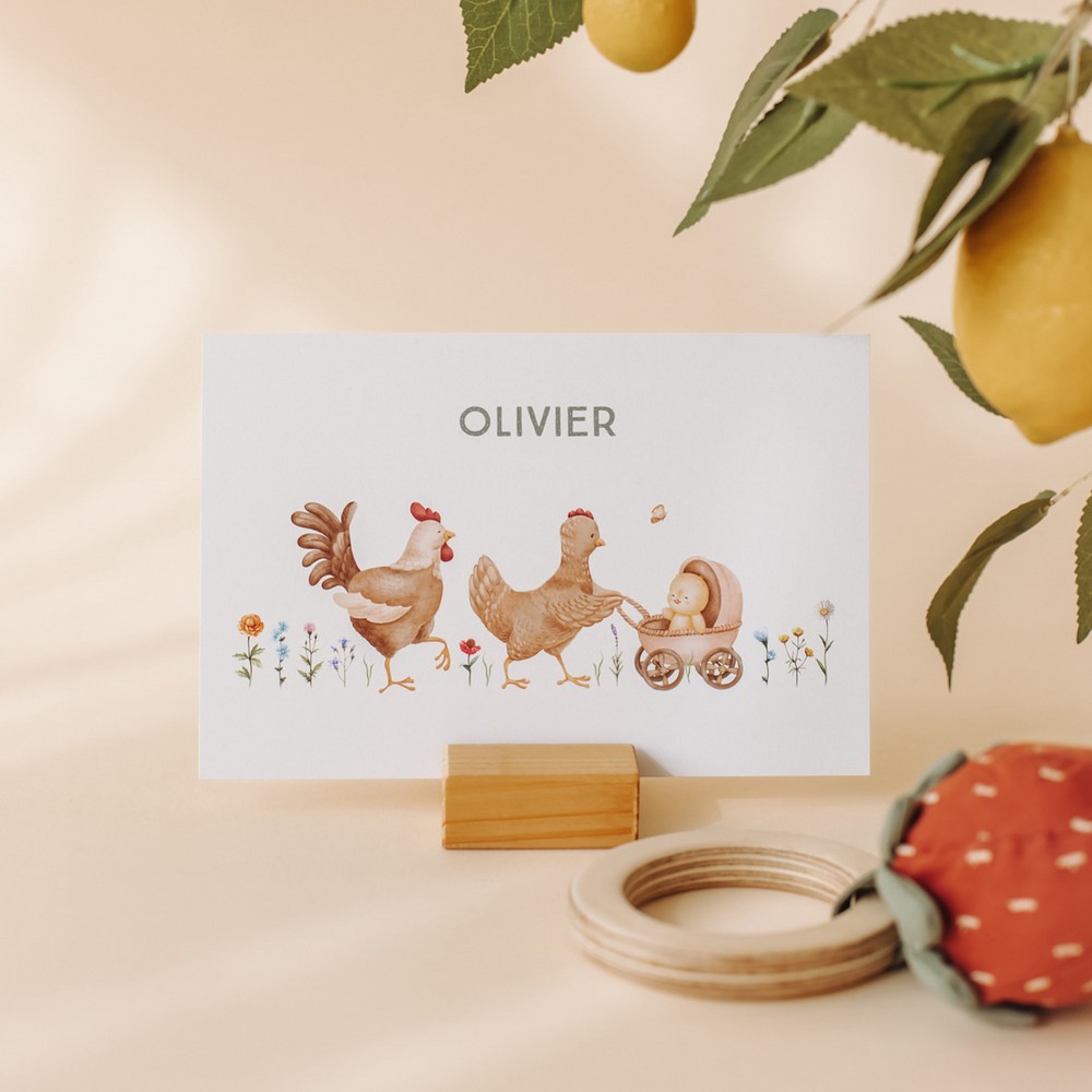 Geboortekaartje Olivier - jongen kippengezin en kuikentje in kinderwagen