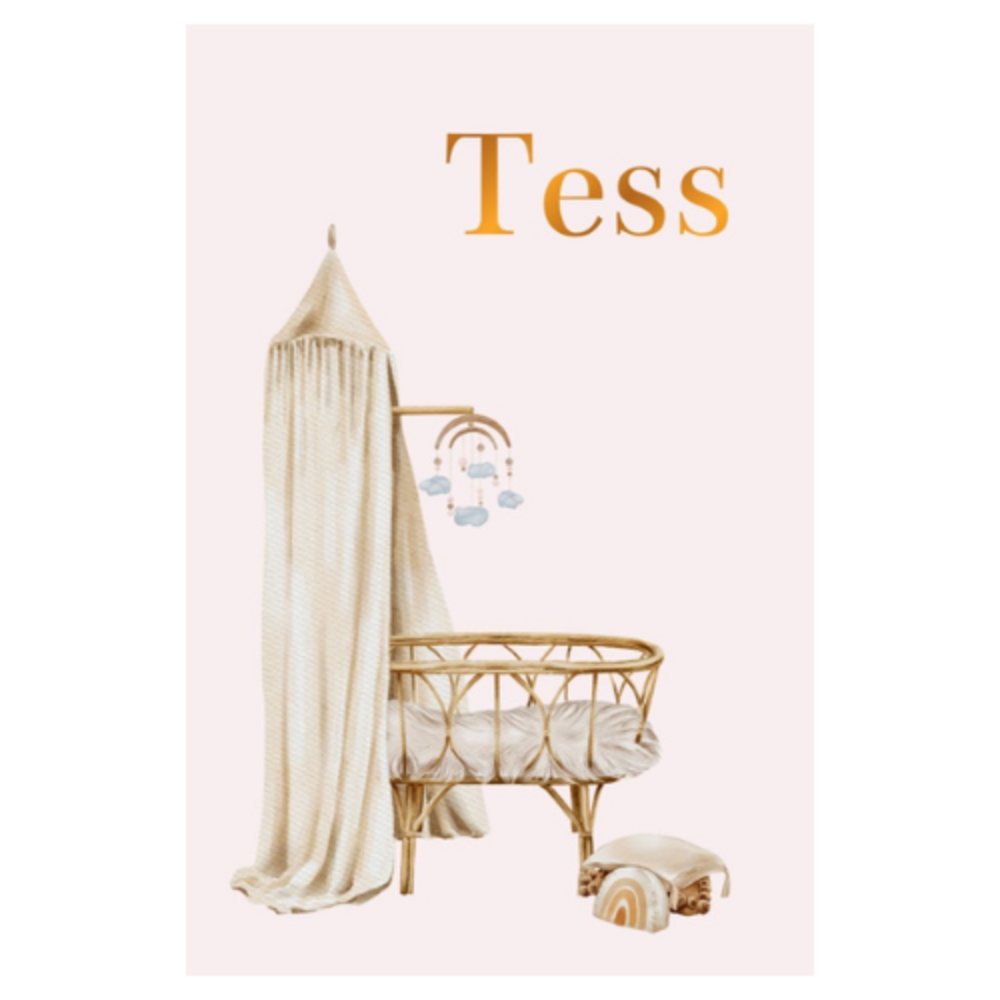 Geboortekaartje Tess - meisje wieg met hemeltje