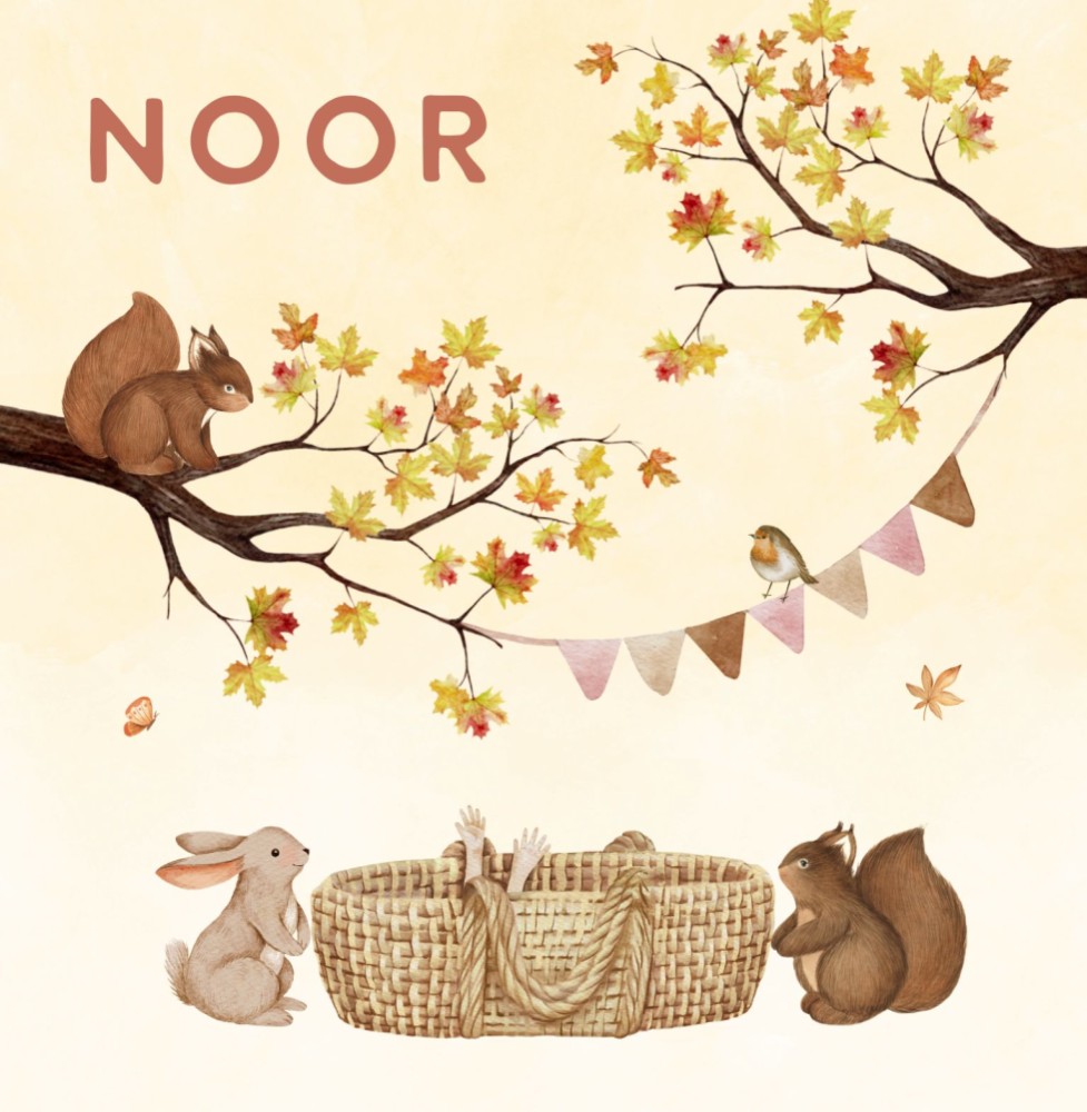 Geboortekaartje  Noor - herfst meisje speelse bosdieren rondom rotan mandje