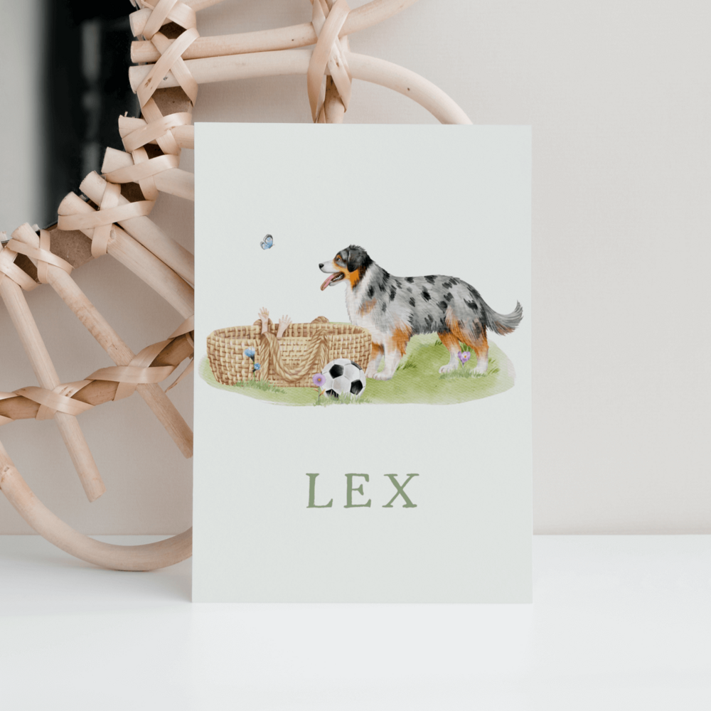 Geboortekaartje Lex - Australian Shephard hond bij mandje