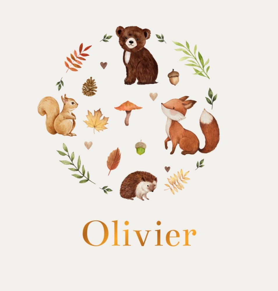 Geboortekaartje Olivier - jongen bosdieren cirkel