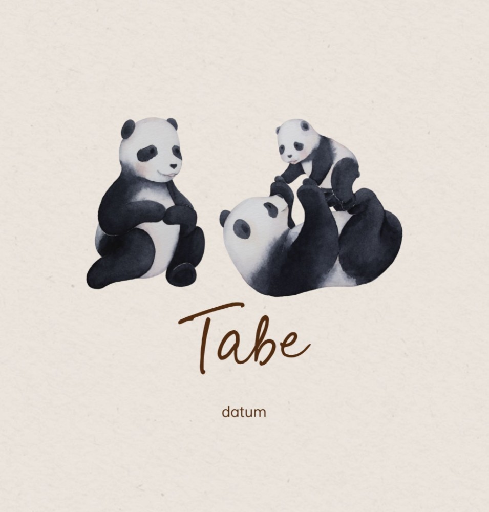 Geboortekaartje Tabe - jongen pandaberengezin