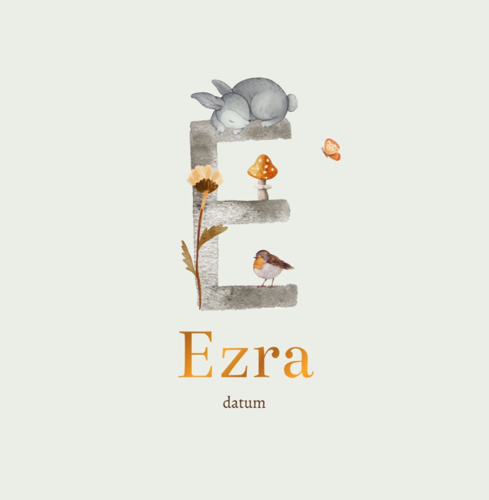 Ezra - geboortekaartje meisje met letter en herfst elementjes
